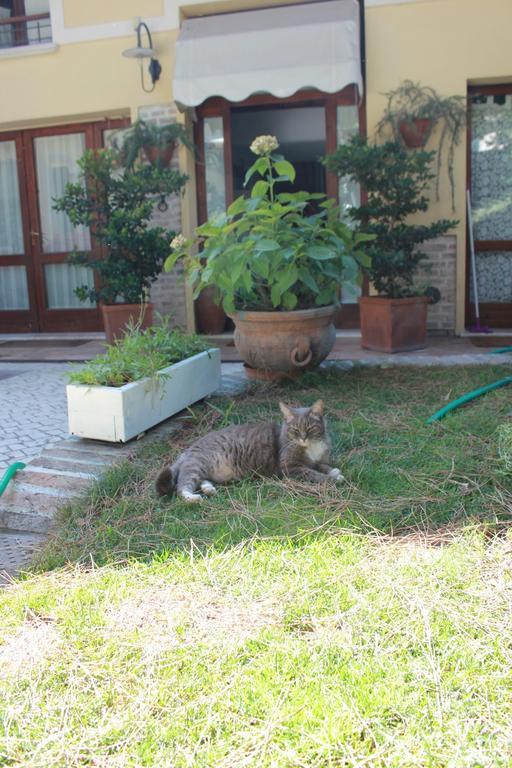 B&B Al Borgo ラヴェンナ エクステリア 写真